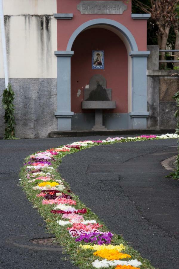 Antonella Home Funchal Funchal (Madeira) Exterior foto